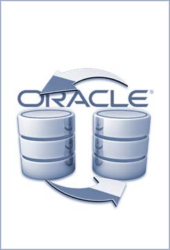 datenbankloesung-oracle